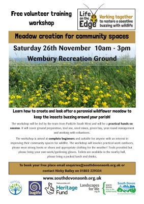 LotE meadow workshop 26-11-22 flyer.jpg