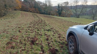 &quot;Rolling&quot; post spring tine harrow prep work.