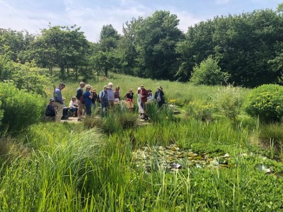 people&pond.jpeg