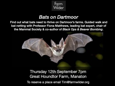 Bats on Dartmoor flyer final 1.jpg