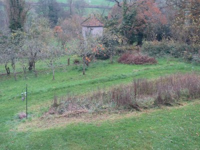 View from front of the house down through the orchard