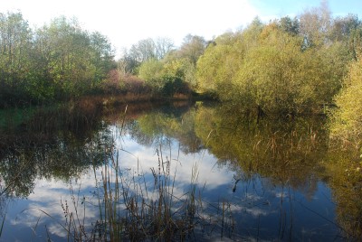 lake in winter.jpg