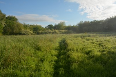 the reserve.jpg