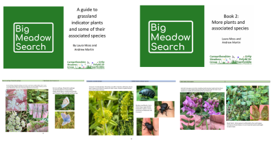 covers and example pages.PNG