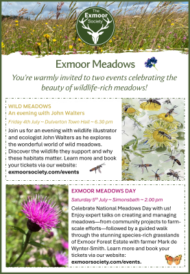 Meadows Day events invite.png