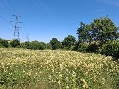 20250713_141804.jpg